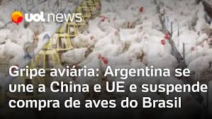 China, Argentina e União Europeia suspendem compra de frango do Brasil, após foco de gripe aviária no RS