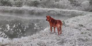 O que esperar do clima em julho, na chuva e temperatura, no Rio Grande do Sul