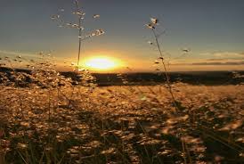Frio abaixo de 10°C e volta do sol: como fica o tempo no RS durante a semana