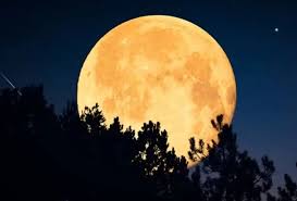 Segunda superlua do ano poderá ser vista no Brasil por 3 dias; veja os horários