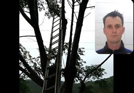 Homem morre eletrocutado enquanto fazia poda de árvore no interior do RS