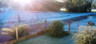 Massa de ar frio chega com vento ao RS nos próximos dias; mínima pode chegar a 3°C