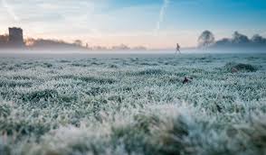 Começa uma sequência de dias com madrugadas de frio e geada no Rio Grande do Sul