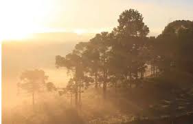 O que esperar do tempo no Rio Grande do Sul em maio; veja previsão